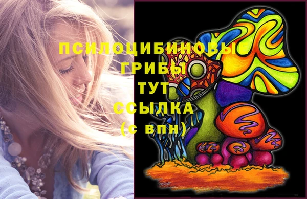 стафф Алзамай