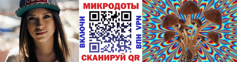 Псилоцибиновые грибы прущие грибы  Нижние Серги 